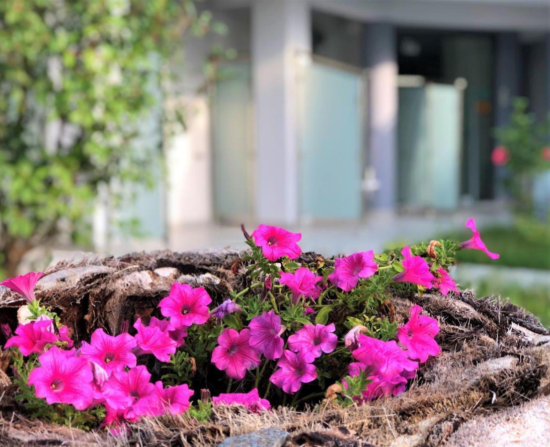 Nikiti Holidays Nikiti (Sithonia) Exterior foto